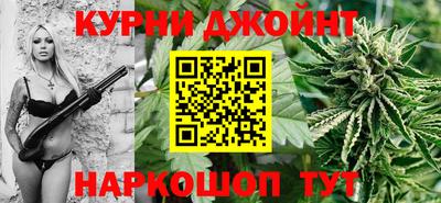 гашик Волжский