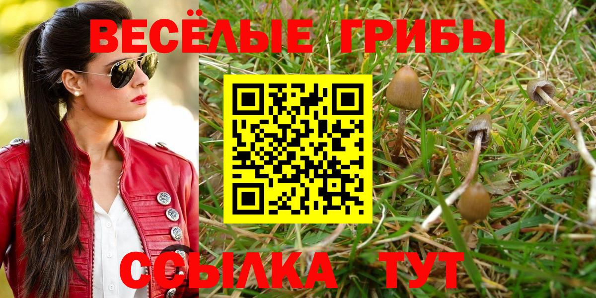 Галлюциногенные грибы мицелий  Галлюциногенные грибы Cubensis  Брянск  Вход с VPN 